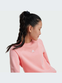 Худи и свитшоты Adidas модель IV7044-KZ Фото