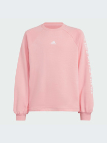 Худи и свитшоты Adidas модель IV7044-KZ Фото