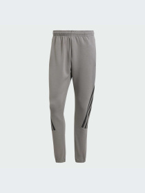 Брюки Adidas модель IW8535-KZ Фото
