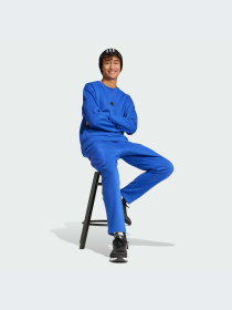 Худи и свитшоты Adidas модель IY1522-KZ Фото