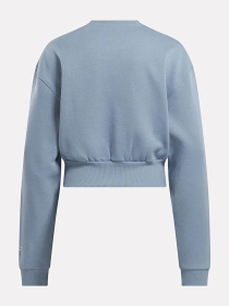 Худи и свитшоты Reebok модель IU3691 Фото