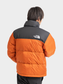 Куртки и дубленки The North Face модель NF0A3C8D5PO1 Фото