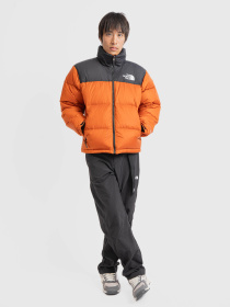 Куртки и дубленки The North Face модель NF0A3C8D5PO1 Фото