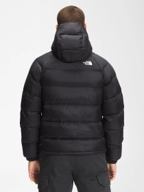 Куртки и дубленки The North Face модель NF0A5GIEJK31 Фото