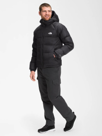 Куртки и дубленки The North Face модель NF0A5GIEJK31 Фото