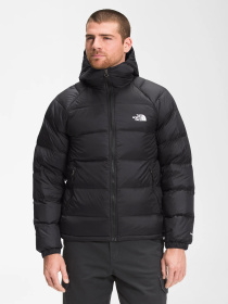 Куртки и дубленки The North Face модель NF0A5GIEJK31 Фото