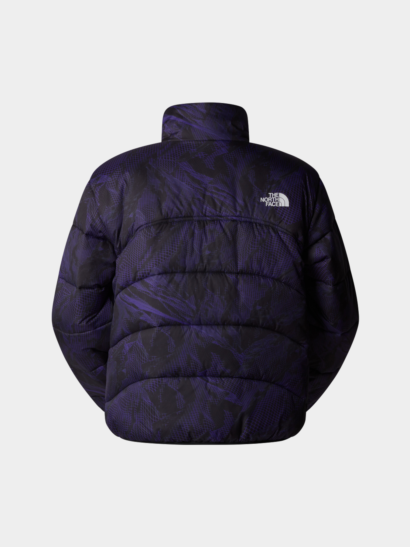 Куртки и дубленки The North Face модель NF0A7URF3VI1 Фото