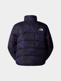 Куртки и дубленки The North Face модель NF0A7URF3VI1 Фото