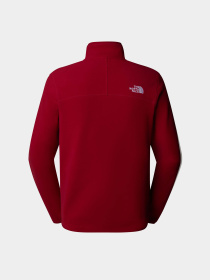 Худи и свитшоты The North Face модель NF0A855W3RO1 Фото