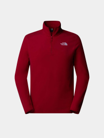 Худи и свитшоты The North Face модель NF0A855W3RO1 Фото