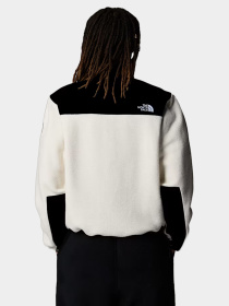 Худи и свитшоты The North Face модель NF0A88YRBIX1 Фото
