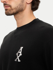 Худи и свитшоты Armani Exchange модель 6DZM6H-ZM5BZ-1200 Фото