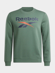 Худи и свитшоты Reebok модель 101943967 Фото