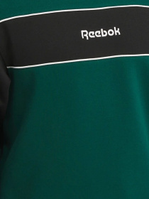 Худи и свитшоты Reebok модель 101943990 Фото