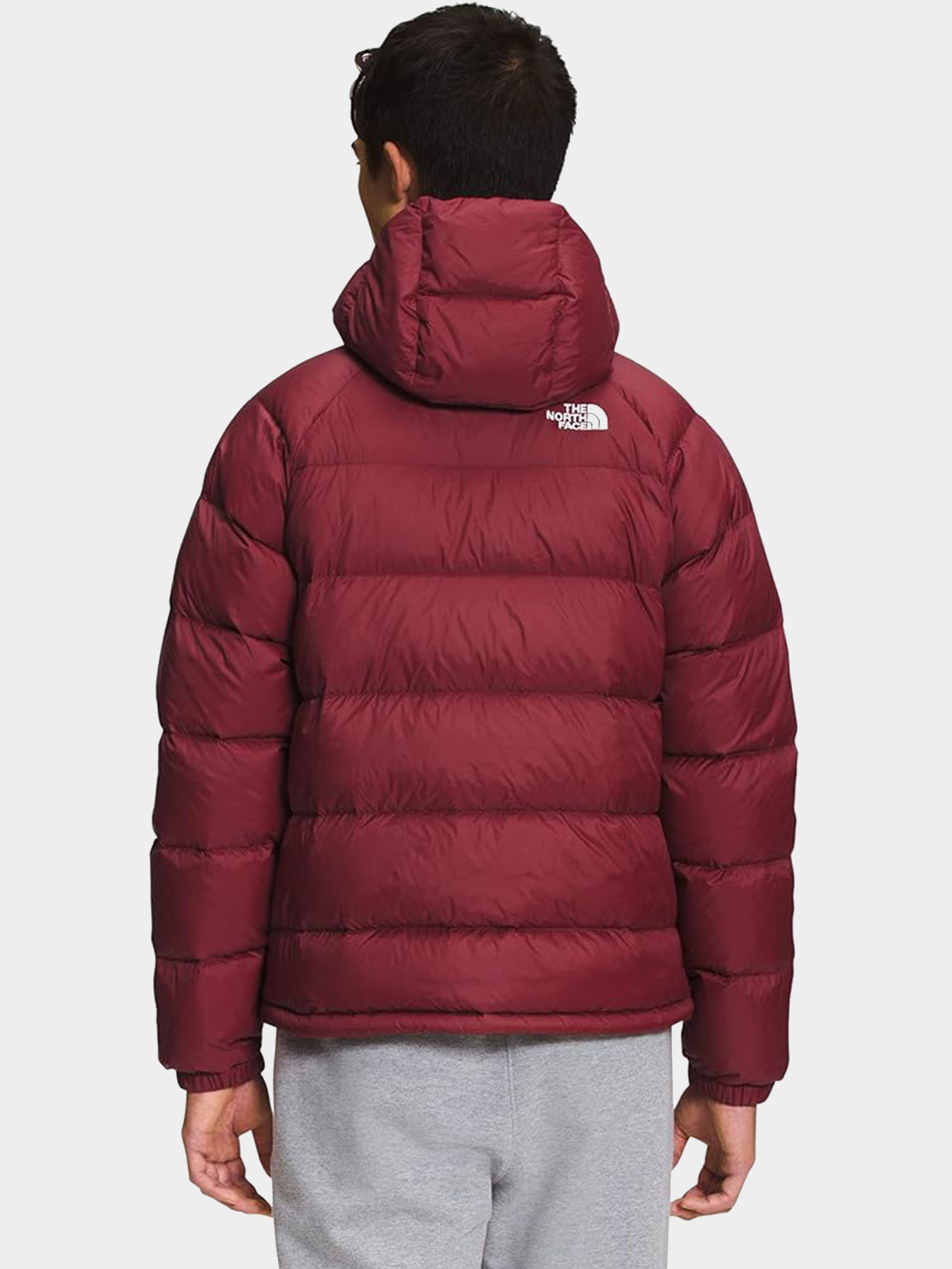 Куртки и дубленки The North Face модель NF0A5GIE1IX1 Фото