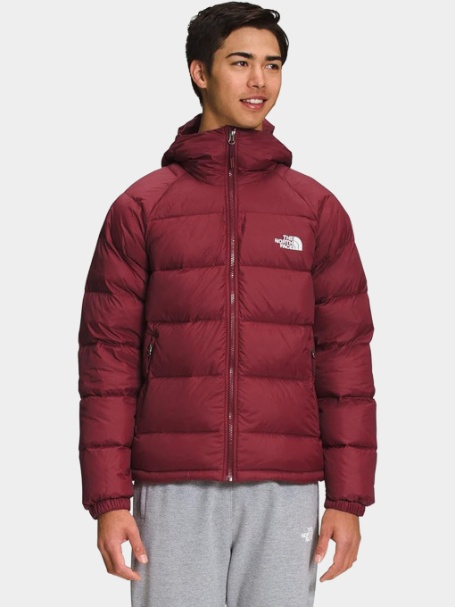 Куртки и дубленки The North Face модель NF0A5GIE1IX1 Фото