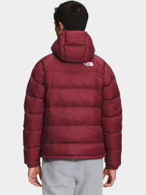 Куртки и дубленки The North Face модель NF0A5GIE1IX1 Фото