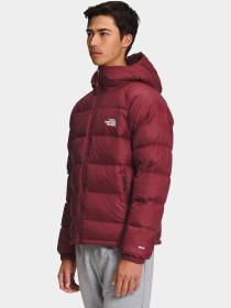 Куртки и дубленки The North Face модель NF0A5GIE1IX1 Фото