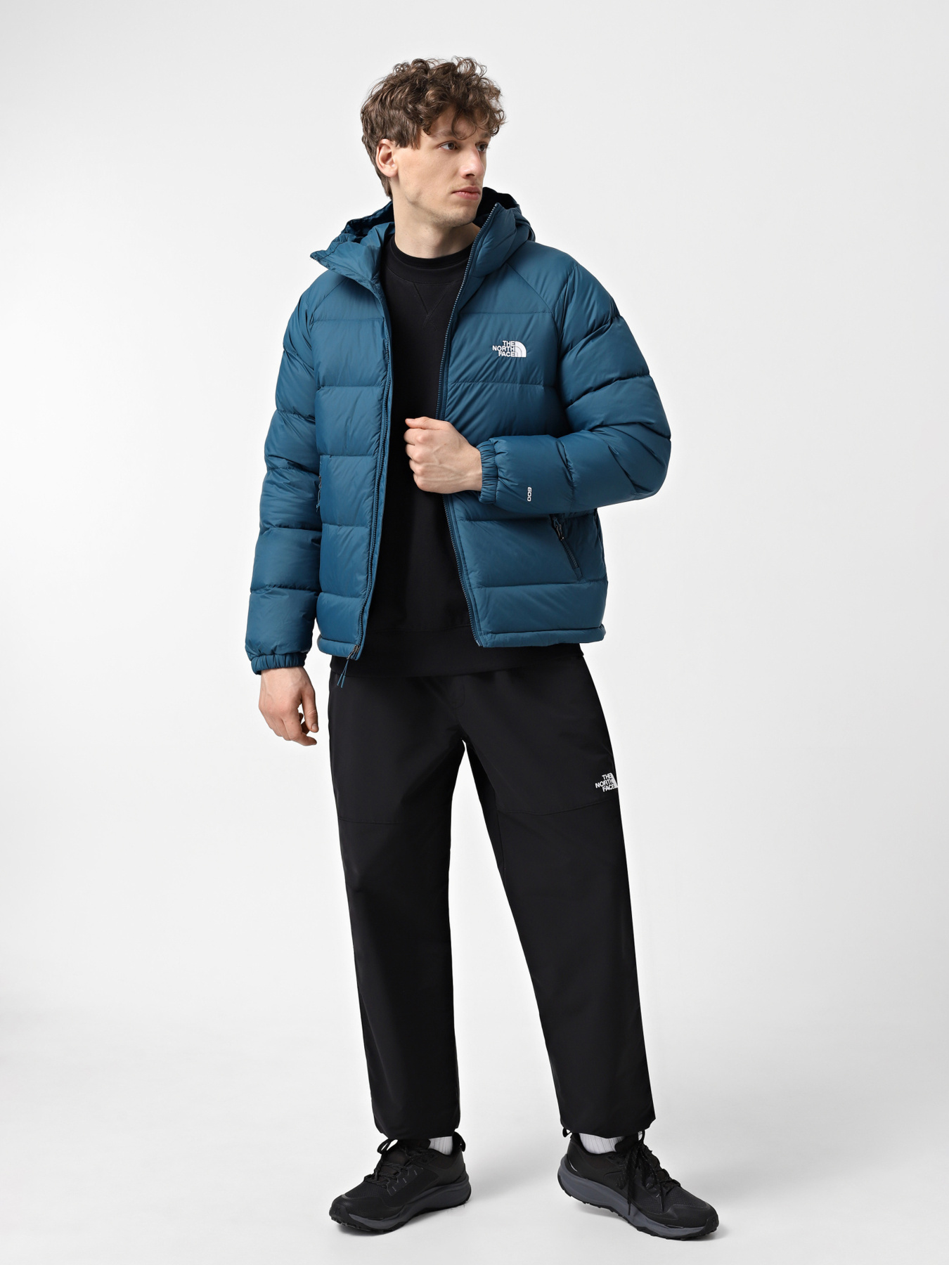 Куртки и дубленки The North Face модель NF0A5GIE1NO1 Фото