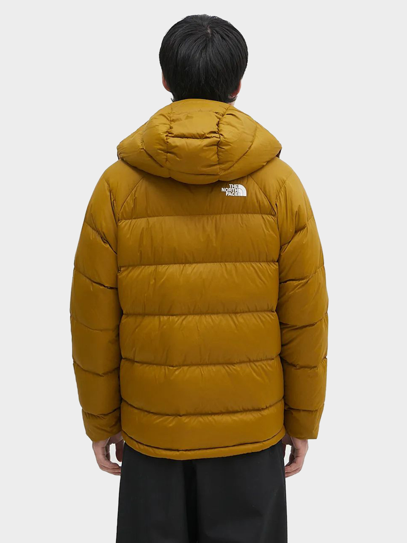 Куртки и дубленки The North Face модель NF0A5GIE1OB1 Фото