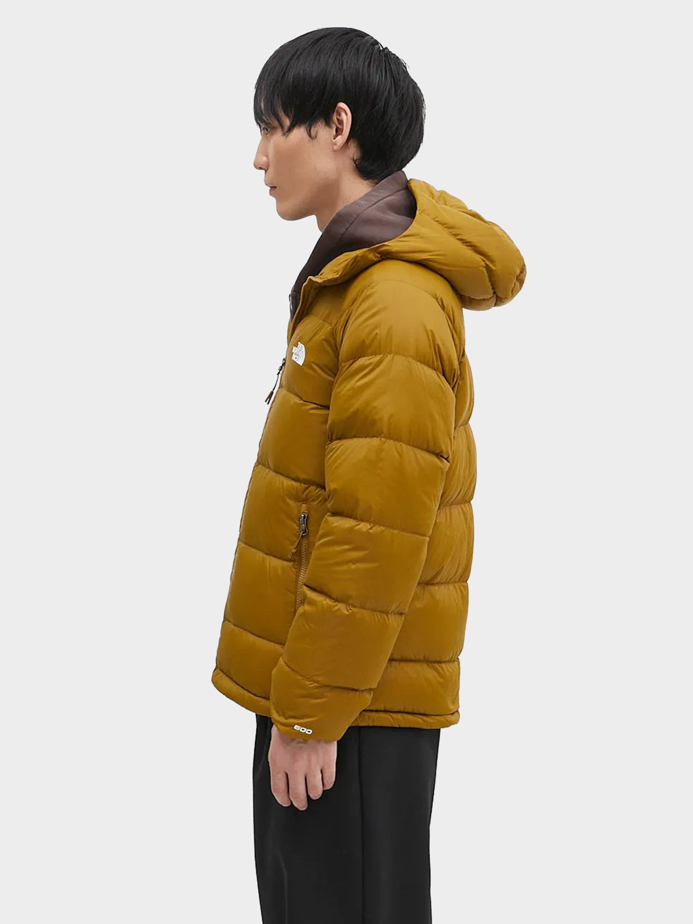 Куртки и дубленки The North Face модель NF0A5GIE1OB1 Фото