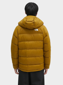 Куртки и дубленки The North Face модель NF0A5GIE1OB1 Фото
