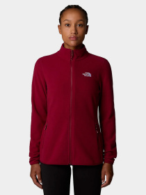 Худи и свитшоты The North Face модель NF0A855O1IX1 Фото