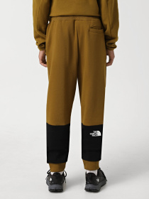 Брюки The North Face модель NF0A87DQ5HO1 Фото