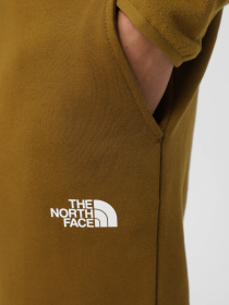 Брюки The North Face модель NF0A87DQ5HO1 Фото