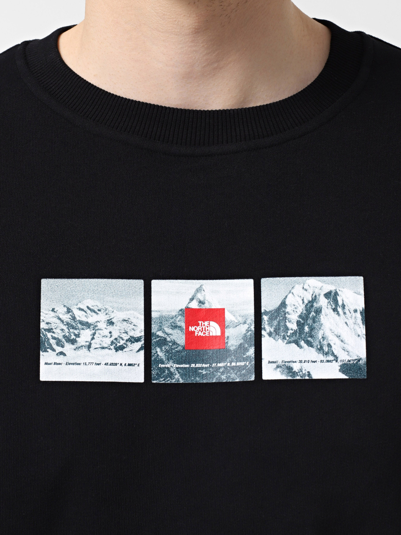 Худи и свитшоты The North Face модель NF0A89DDJK31 Фото