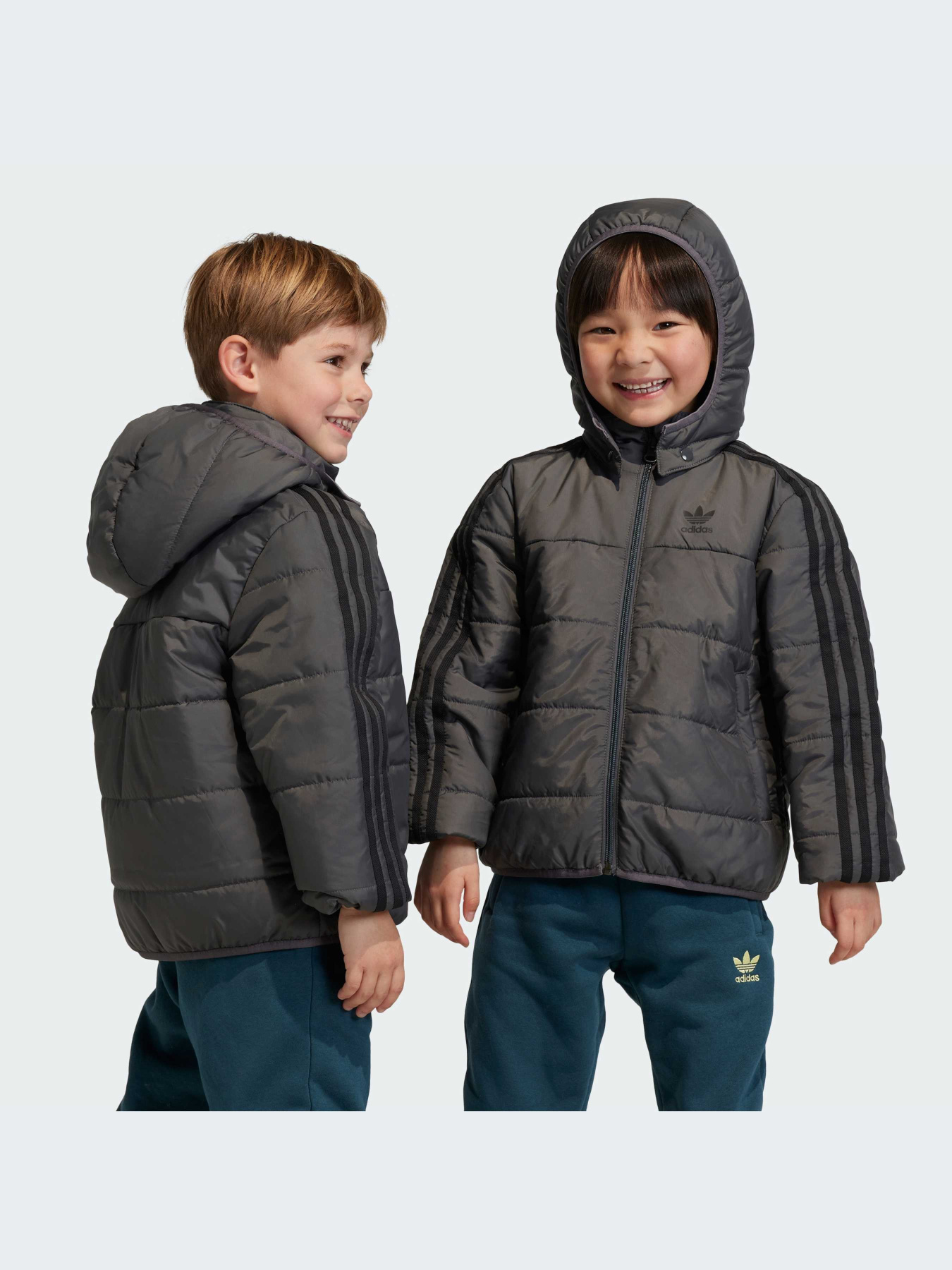 Куртки и дубленки Adidas Adicolor модель IJ7562-KZ Фото