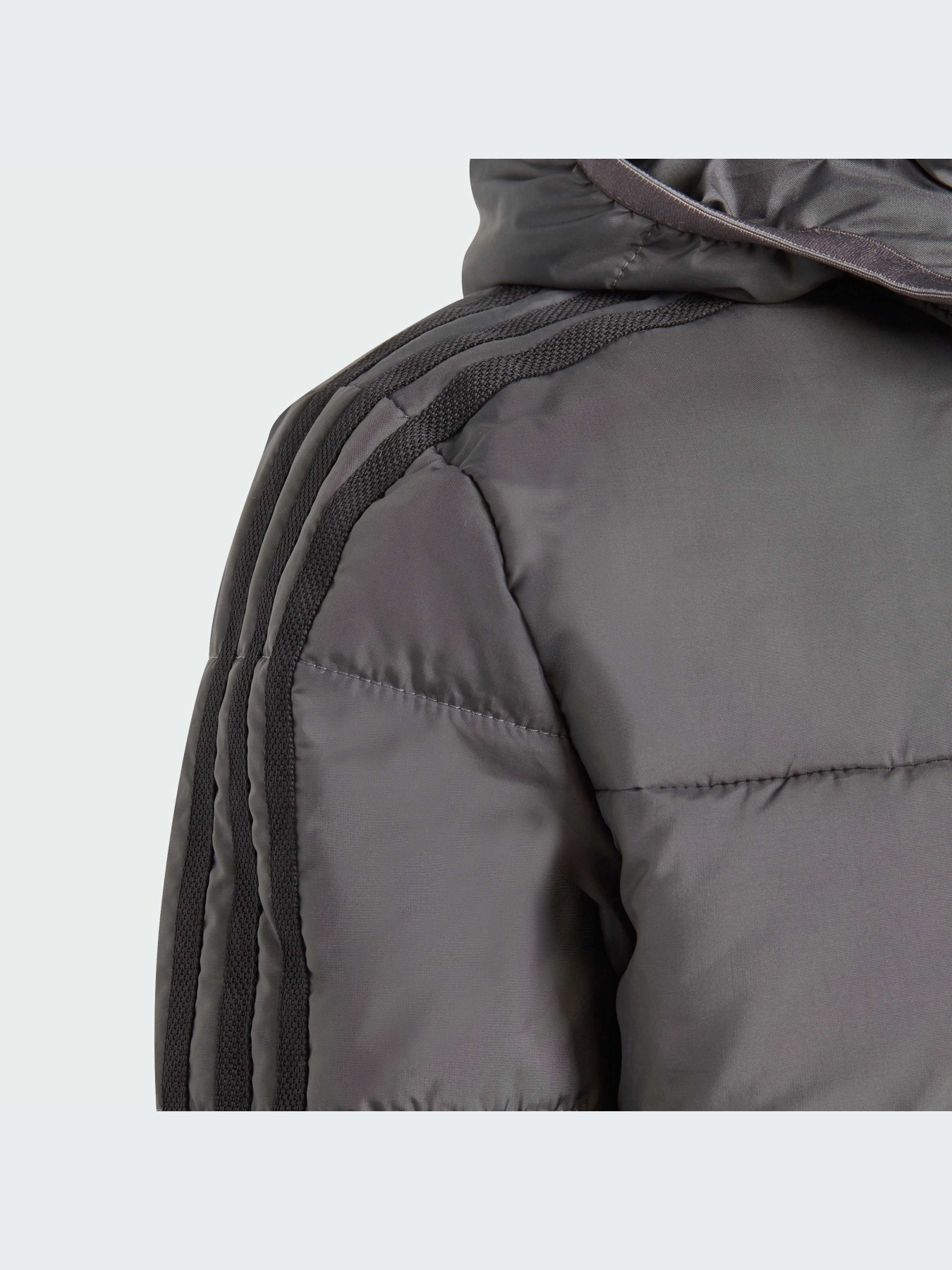 Куртки и дубленки Adidas Adicolor модель IJ7562-KZ Фото
