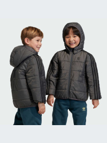 Куртки и дубленки Adidas Adicolor модель IJ7562-KZ Фото
