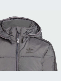 Куртки и дубленки Adidas Adicolor модель IJ7562-KZ Фото