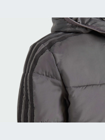 Куртки и дубленки Adidas Adicolor модель IJ7562-KZ Фото