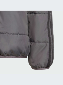 Куртки и дубленки Adidas Adicolor модель IJ7562-KZ Фото