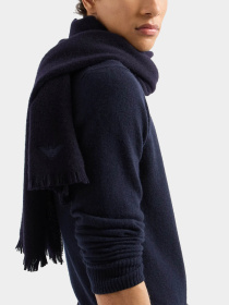 Шарфы и платки Emporio Armani модель 625069-4F324-00035 Фото