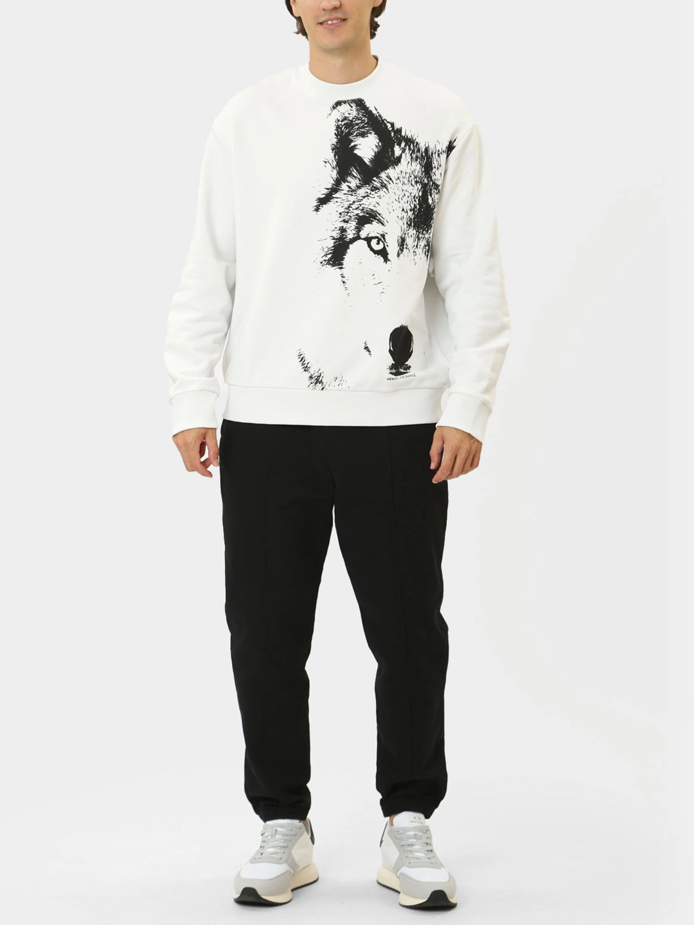 Худи и свитшоты Armani Exchange модель XM000042-AF10858-M0012 Фото