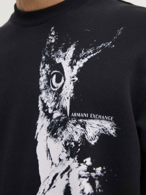 Худи и свитшоты Armani Exchange модель XM000042-AF10858-MC015 Фото