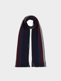 Шарфы и платки Tommy Hilfiger модель AM0AM12833-DW6 Фото