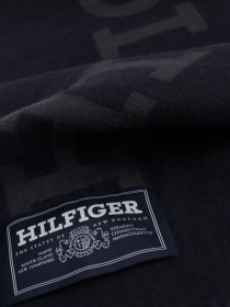 Шарфы и платки Tommy Hilfiger модель AM0AM12838-DW6 Фото