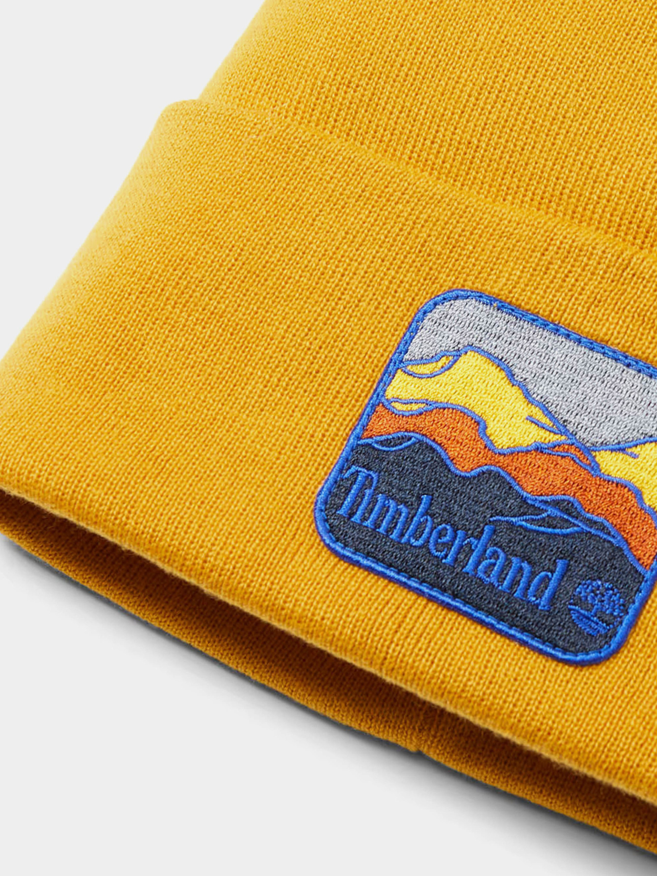 Шапки и кепки Timberland модель TB0A2PNJEFM Фото
