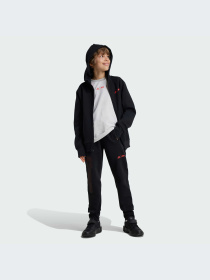 Брюки Adidas модель IV9632-KZ Фото