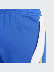 Шорты Adidas модель IS6467-KZ Фото