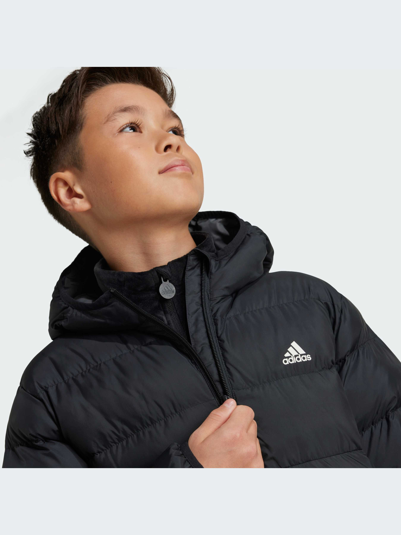 Куртки и дубленки Adidas модель IV9505-KZ Фото