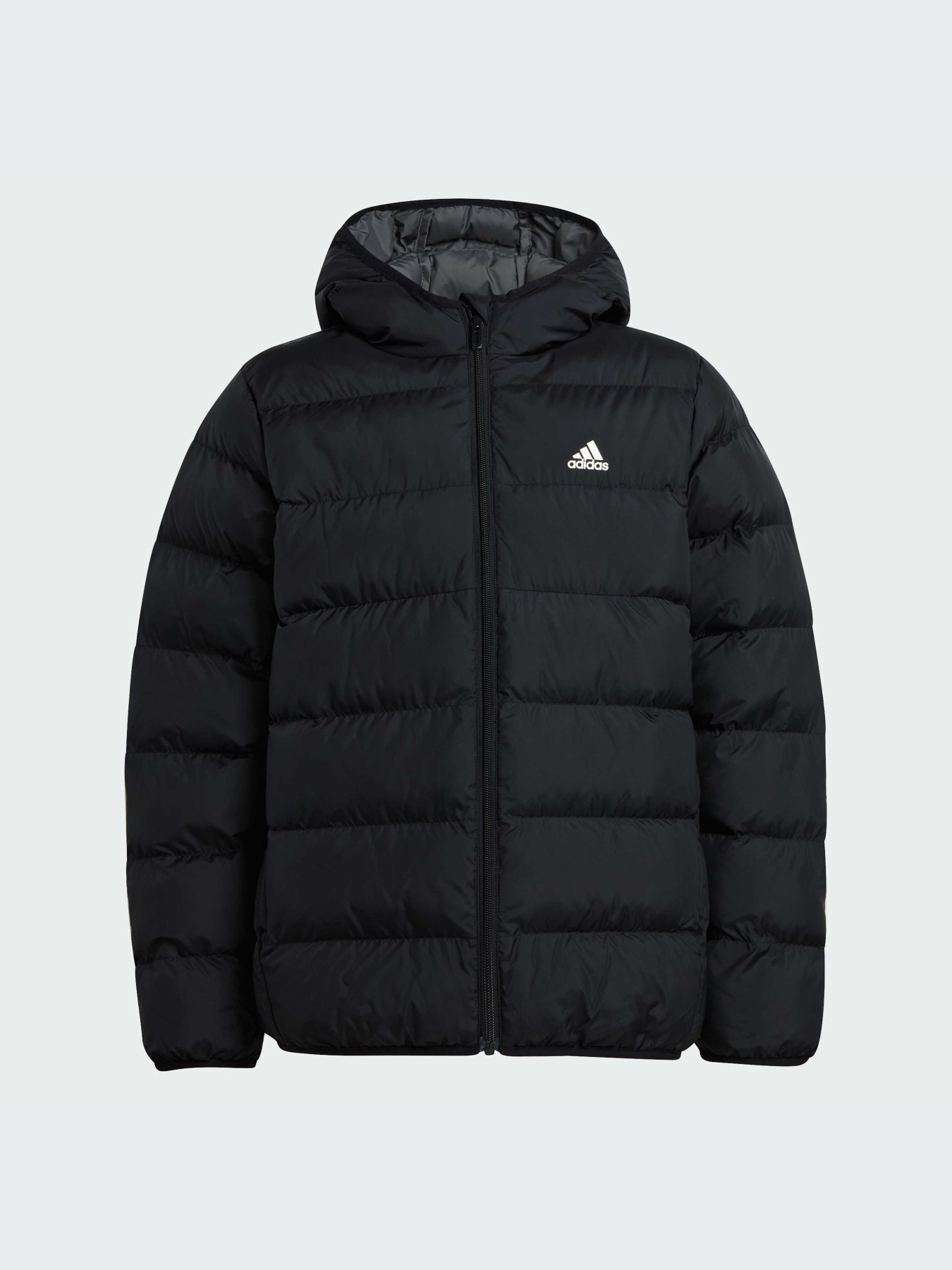 Куртки и дубленки Adidas модель IV9505-KZ Фото