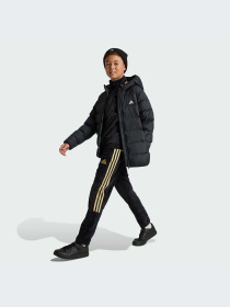 Куртки и дубленки Adidas модель IV9505-KZ Фото