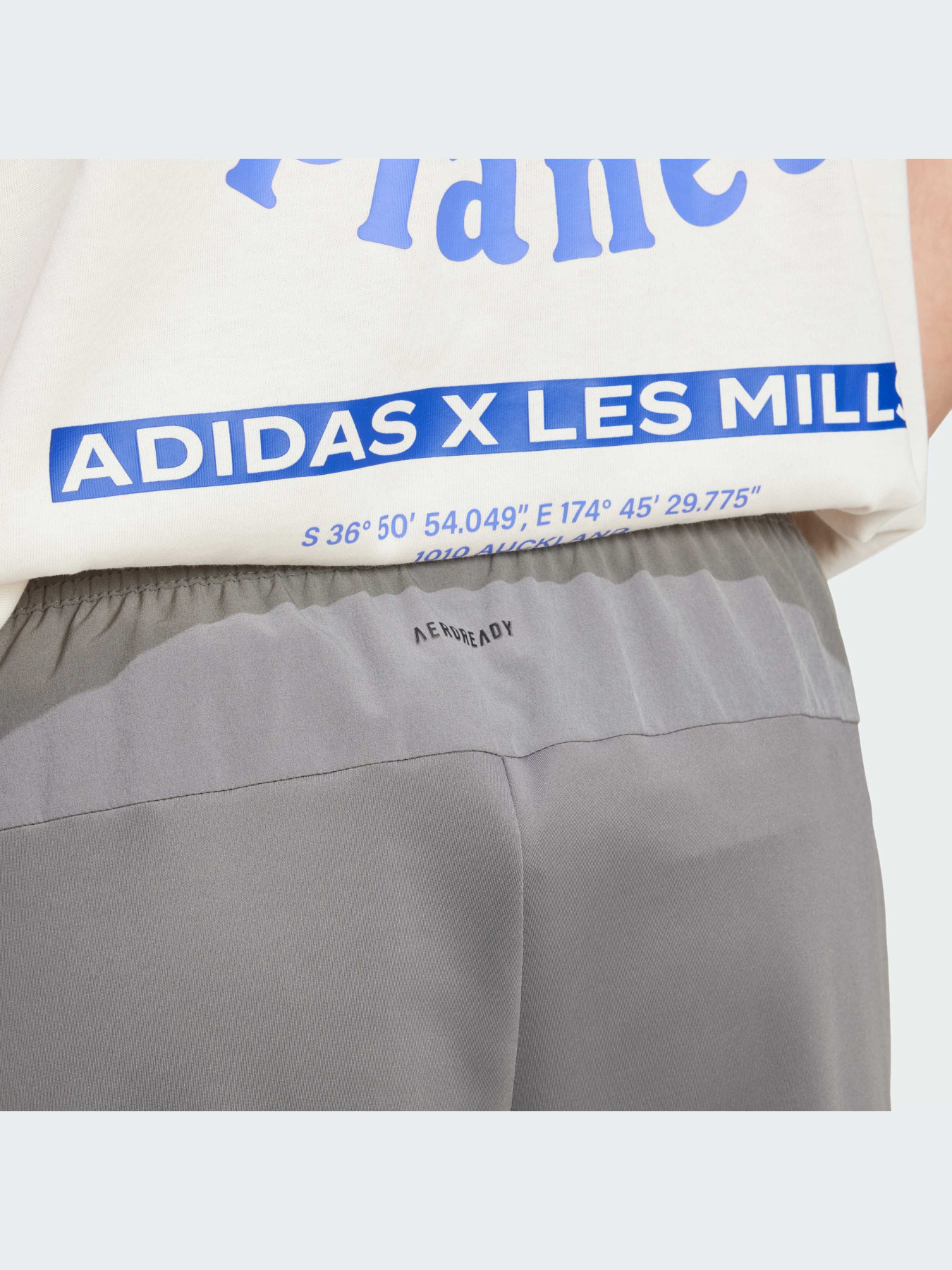 Брюки Adidas Clima модель IY1124-KZ Фото