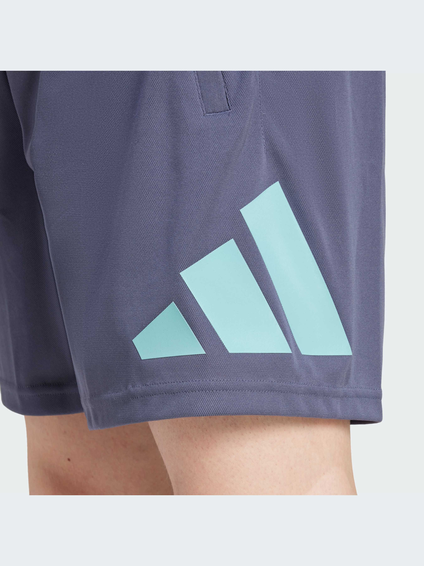 Шорты Adidas модель IW3410-KZ Фото