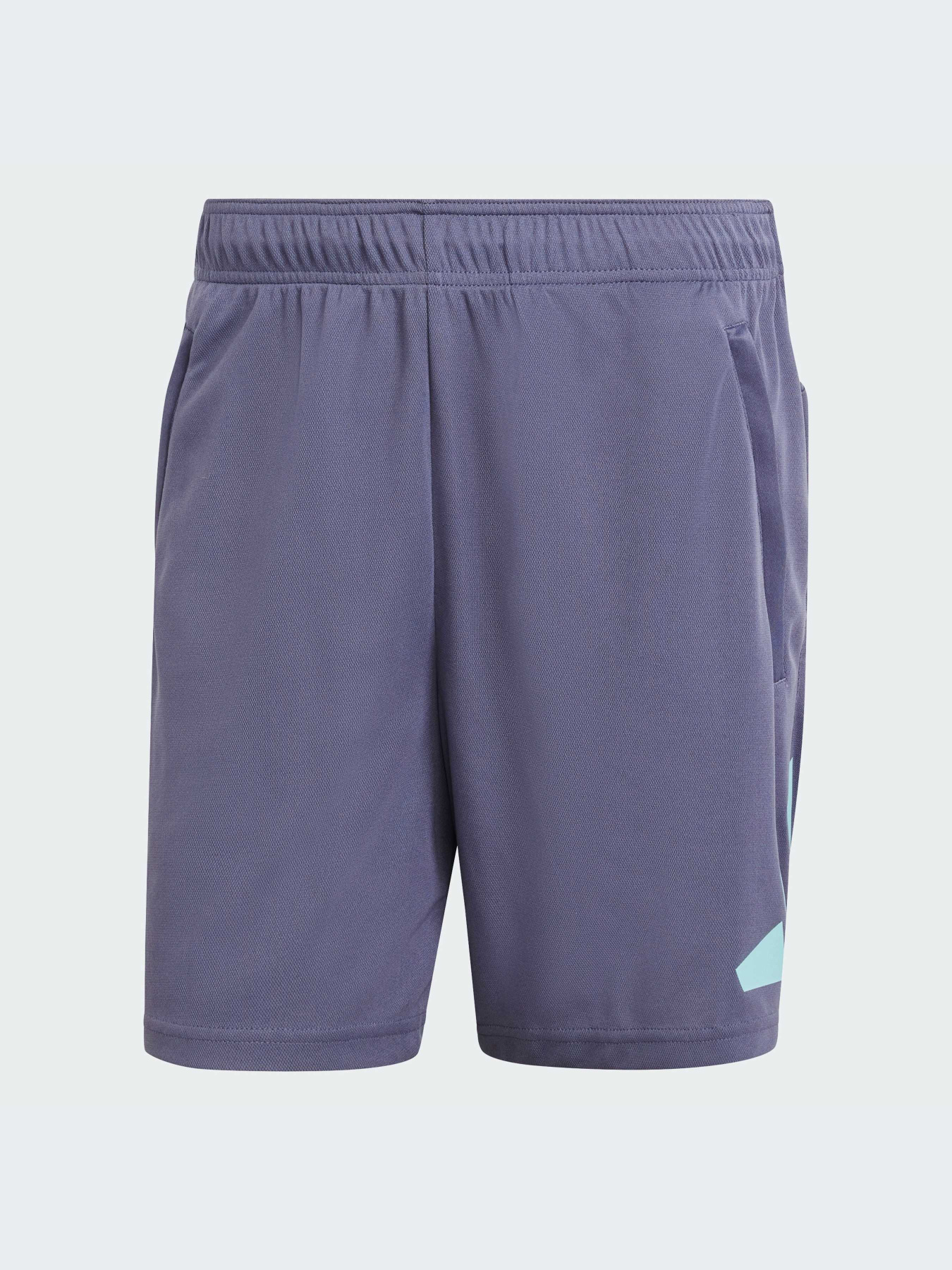 Шорты Adidas модель IW3410-KZ Фото